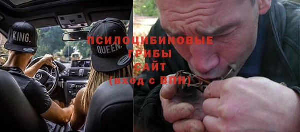 сатива Лихославль