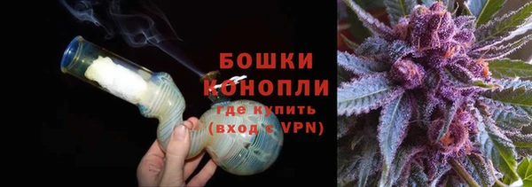 сатива Лихославль