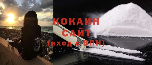 сатива Лихославль