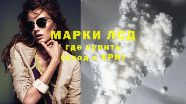 сатива Лихославль