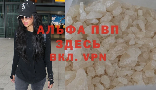 сатива Лихославль