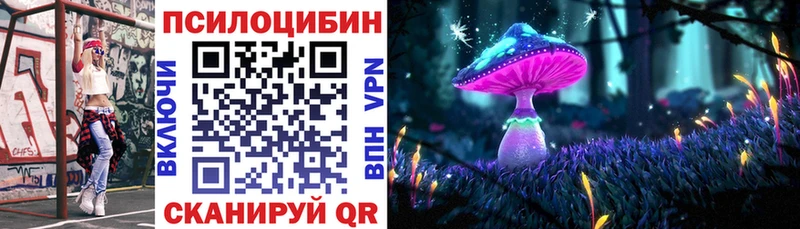 Купить где  Керчь  Псилоцибиновые грибы Psilocybe 